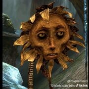 tranthitruclinh14012