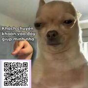 Hihihaha3667vcl