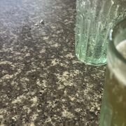 Bí Mật Của Tôi