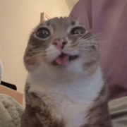 EocA