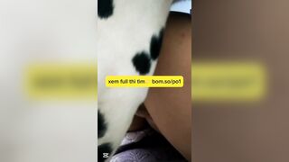 cô chủ xinh gái bị bầy chó ***