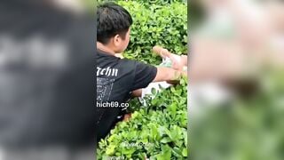 Bọn súc vật, e học sinh bị lôi vào rừng *** thg quay thg địt dcm bọn nó