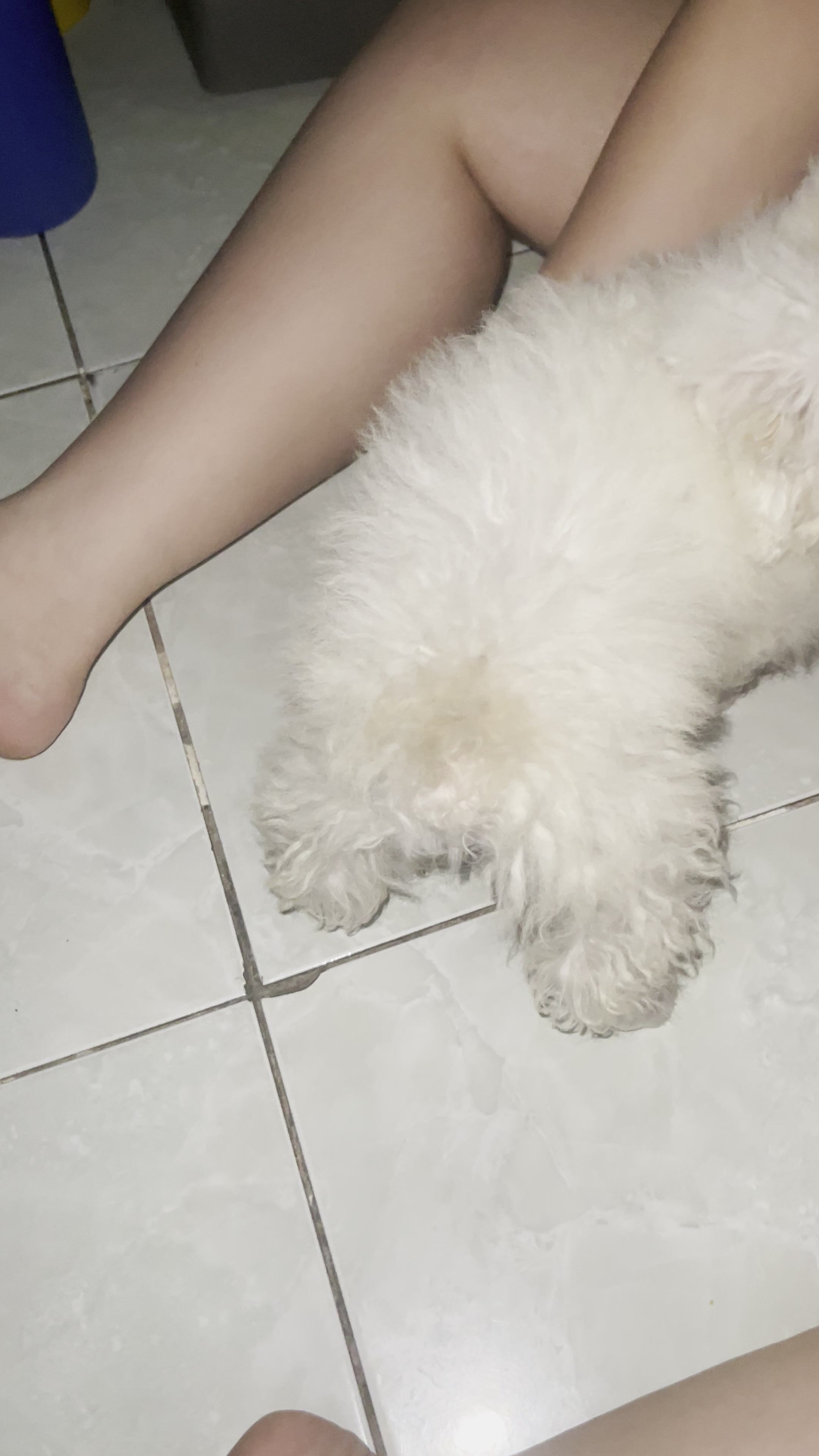 Sang trọ thăm nhỏ bạn Chuppy