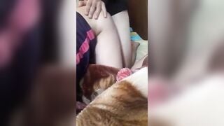 Video11 2
