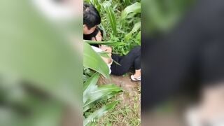 2 thanh niên kéo con gái nhà người ta và ruộng ***