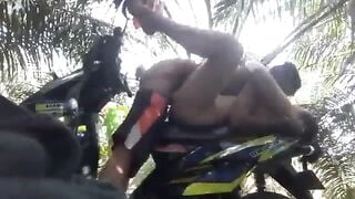 Em họ gan trời dám lấy xe chở chị họ vào vườn cao su đụ ngay trên xe cho nó chất.