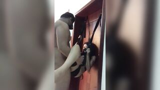 “Vl con người yêu nghĩ ra kiểu chịch mới sướng nổ cặc”