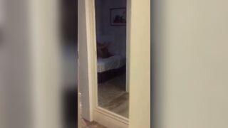 Đại giả doggy, đụ tập thể hai sugar baby cưc sung phần 1
