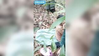 Nóng nhất lúc này là clip bố già gặm cỏ non trong rừng