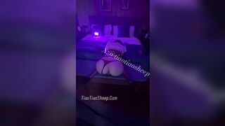 tiaotiaosheep 3