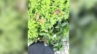 Meii-meyy 9.8.25
