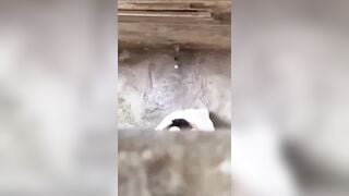 cặp đôi học sinh lén lút bú cu đụ nhau sau trường học