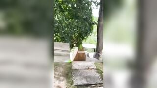 Cô bạn gái xinh đang đi chơi mà nứng quá nên tuột quần cho anh địt ngay trong phần 1