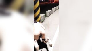 Đưa em "THÚ CƯNG" đi dạo công viên