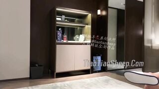 tiaotiaosheep 33.1