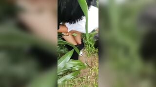 *** em gái tội nghiệp ở đồng ngô