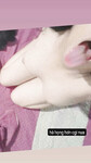 Ảnh bumbum