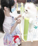 1376 ảnh trong 1 album: Cô gái loli dễ thương 4