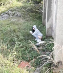 Tổng hợp những pha đái bậy của các em gái