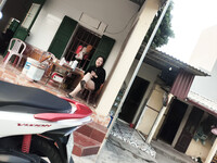 Duingonxinh