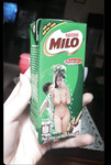 Um húp bướm Thảo Mi