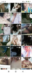 Mua Full album ib zl 0794255985