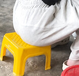 Bưởi Beo Lai 2008